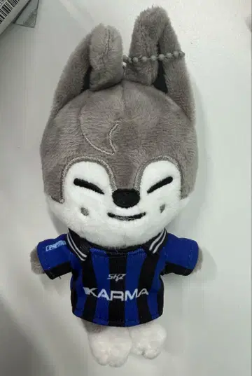 Straykids karma skzoo 울프찬