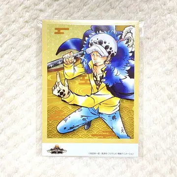 로우 마루이 한정 포토 카드 원피스 ONE PIECE