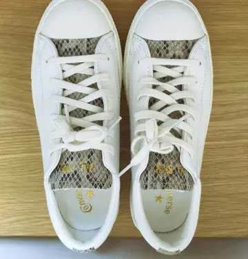 Spick and Span 컨버스 ALL STAR 23cm
