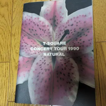 T-SQUARE 콘서트 투어 팜플렛 2세트