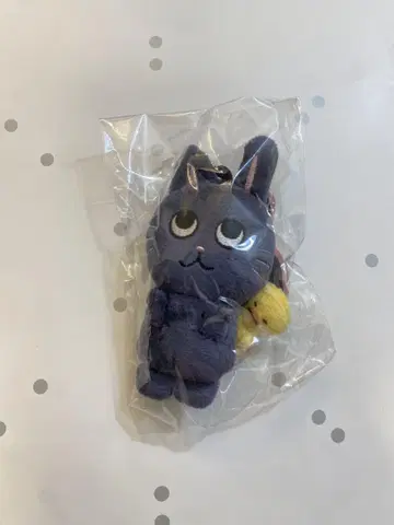 공식 MD RIIZE 10cm 인형 KEYRING 원빈 토냥도크