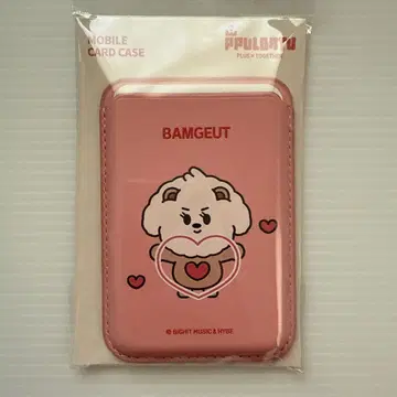 [ 범규 ] TXT 모바일 카드 케이스 PPLUBATU