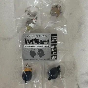 이어지는 링 참 하이큐!! 마스코트