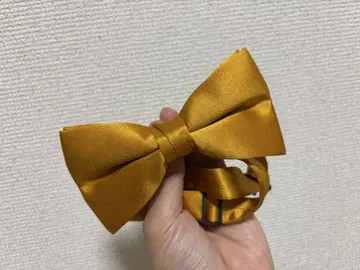 골드 새틴 나비 넥타이