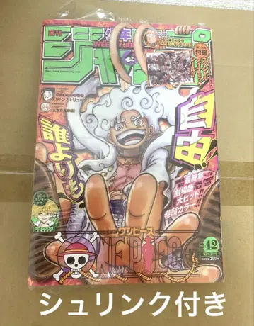 ONE PIECE 주간 소년 점프 2022년 42호