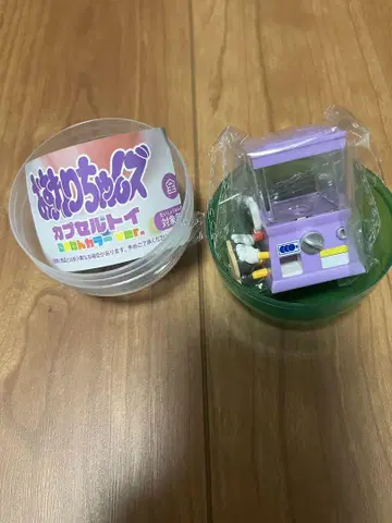 앉아있는 챤즈 가챠가챠 퍼플 시프라 한정 컬러