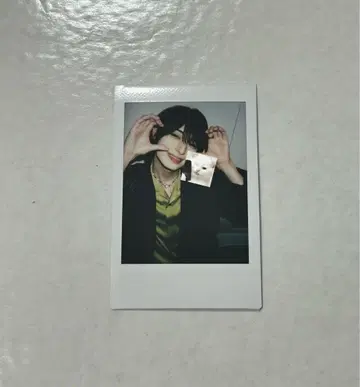 러브리스 Luvless 타로 폴라로이드