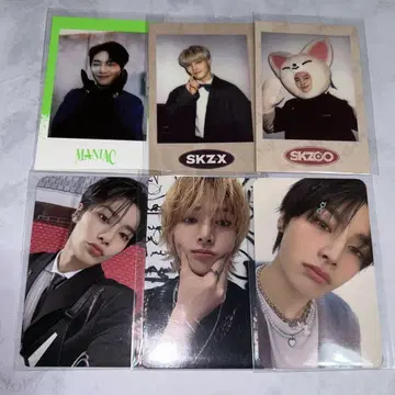 아이엔 Stray Kids 폴라로이드 트레이딩 카드