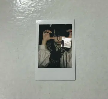 러브시크 Luvless 타로 폴라로이드