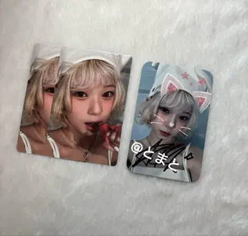 unis 사녹 트레이딩 카드 2주차 친필 사인 코토코