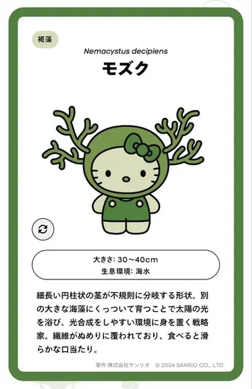EXPO2025 일본관 한정 산리오 모 키티 시크릿 핀배지