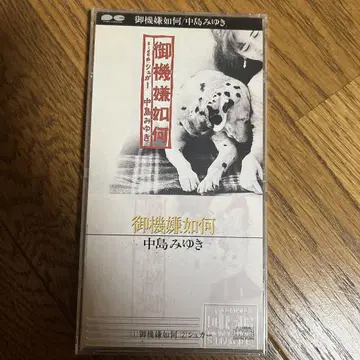 나카지마 미유키/오기겡이카가