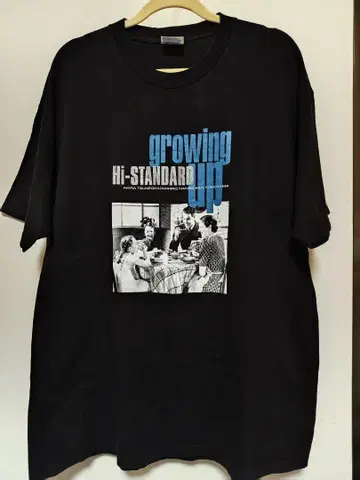 Hi-STANDARD growing up 티셔츠 하이스타 vintage