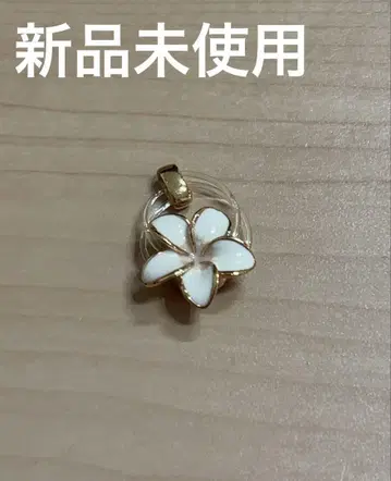 Floats! 투링 플루메리아