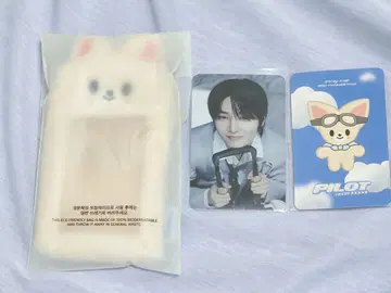 Stray kids pilot carrier name tag 폭시니