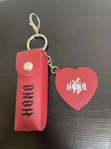 HANA 로고 립 케이스