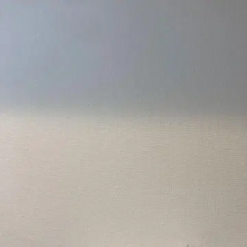 이와나미 수학 사전