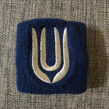 UNISON SQUARE GARDEN 리스트 밴드