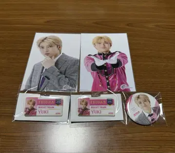 에비라이 에비단 뮤지엄 초특급 유키 5점 일괄