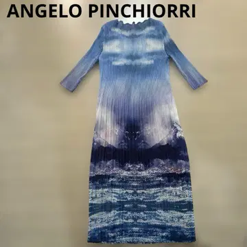 ANGELO PINCHIORRI 플리츠 그라데이션 풍경화 원피스