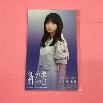 이오키 마오 신참자 혜택 스티커