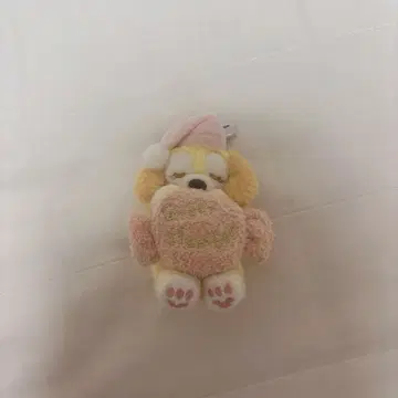 더피와 프렌즈 잘 자요, 쿠키앤