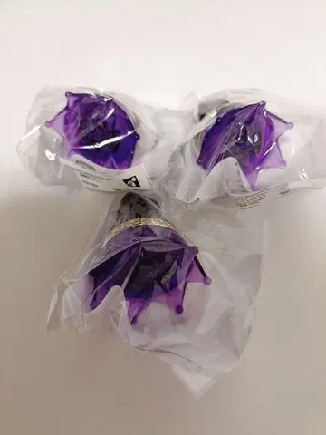 히프노시스 마이크 하라이 쿠코 린라이