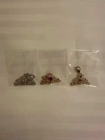 디즈니 프린세스 시크릿 참