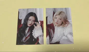 사쿠라자카46 후지요시 카린 야마자키 텐 사쿠코레 참가상 스티커