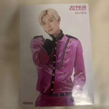 초특급 알로하 EBiDANMUSEUM 입장 혜택