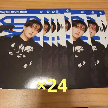 StrayKids KARMA COMPACT VER. 창빈 포토 카드