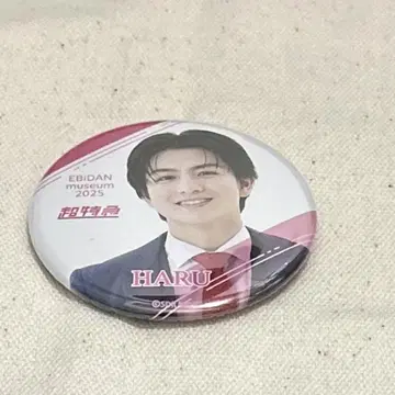 하루 카시와기 하루 캔뱃지
