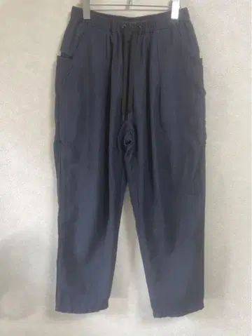 TEATORA WALLE PANTS CARGO INTER CITY
