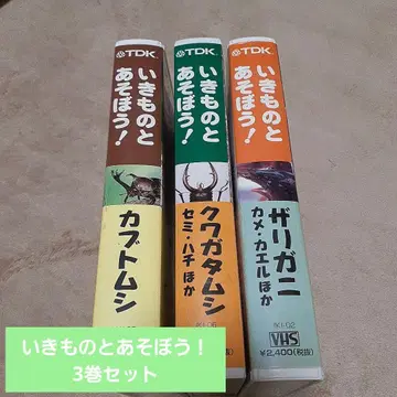 ! VHS 세트
