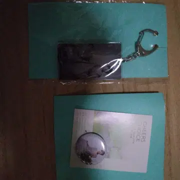 아이돌 관련 키링과 배지 세트