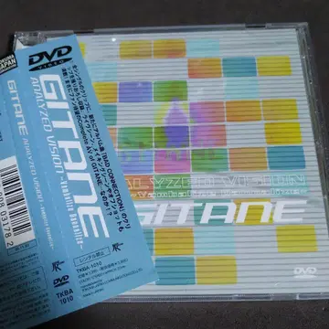 GITANE/ANALYZED VISION