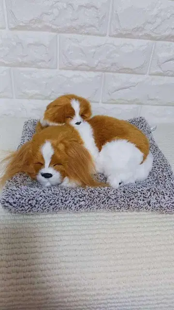 강아지 봉제 인형 오브제 인테리어 입상