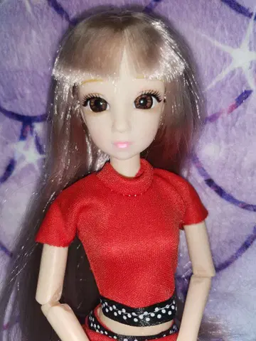 1/6 관절 가동 인형 미인상