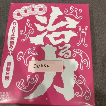 치유력 이치카와식 수기요법 DVD 없음 새상품