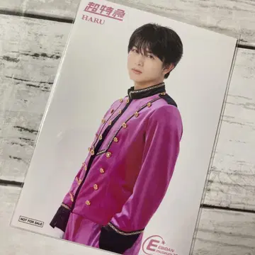 초특급 하루 EBiDAN museum 입장 혜택 브로마이드