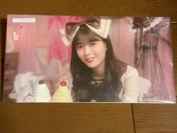 노기 페스 포토 앨범 이와모토 렌카