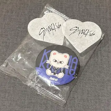 stray kids 팝업 예약 입장자 FC 한정 미러 지니레트