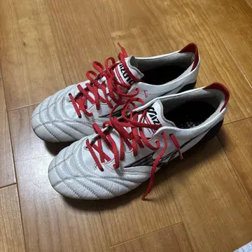 모렐리아 네오4 25.0cm