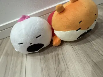 니시무라 유우지 낮잠 아기 쥐 코비토