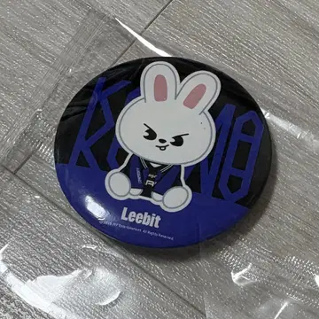 리비트 팝업 거울
