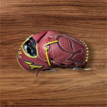 미즈노 프로 경식 투수 그로브