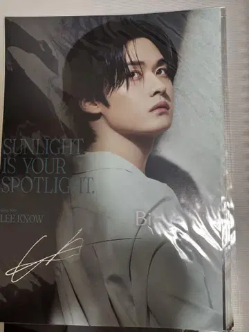 straykids 스키즈 포스터 리노 Leeknow