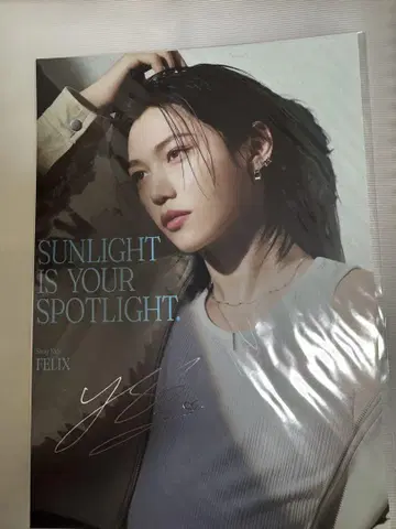 straykids 스키즈 포스터 필릭스 Felix