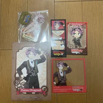 FAIRYTAIL 프린세스 카페 나츠 5 세트