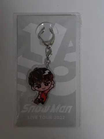 Snow Man 아크릴 키링 무카이 코지 Labo 스노치루